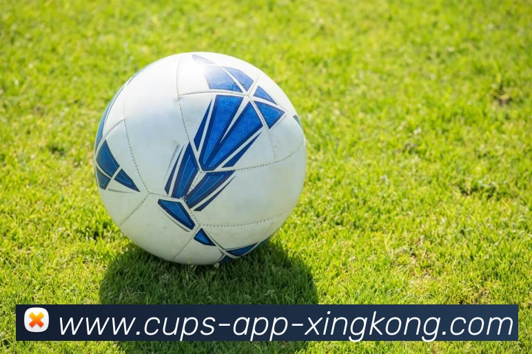 星空体育官网平台生态图