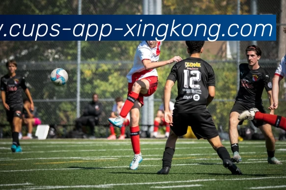 星空体育官网APP 封面图